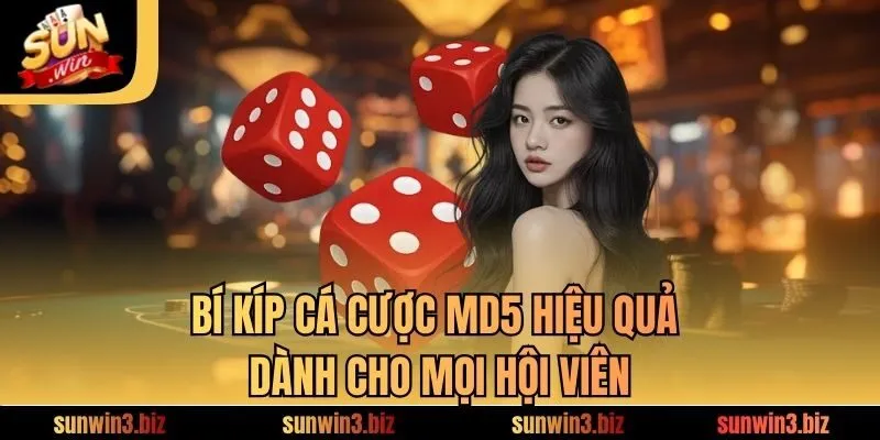 Bí kíp cá cược MD5 hiệu quả dành cho mọi hội viên